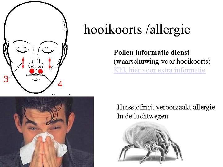 hooikoorts /allergie Pollen informatie dienst (waarschuwing voor hooikoorts) Klik hier voor extra informatie Huisstofmijt