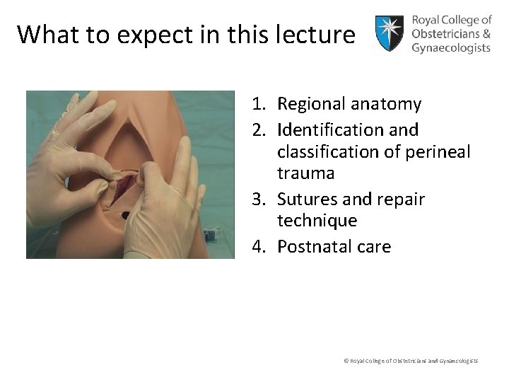 What to expect in this lecture 1. Regional anatomy 2. Identification and classification of