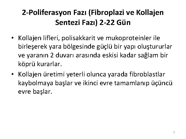 2 -Poliferasyon Fazı (Fibroplazi ve Kollajen Sentezi Fazı) 2 -22 Gün • Kollajen lifleri,