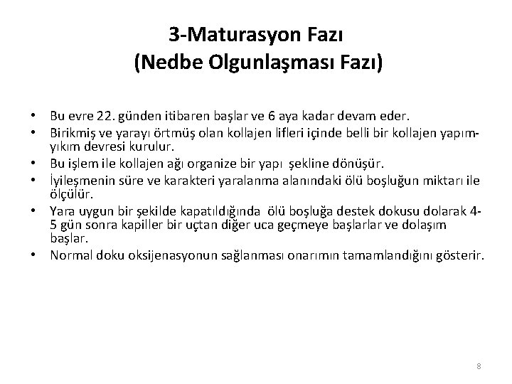 3 -Maturasyon Fazı (Nedbe Olgunlaşması Fazı) • Bu evre 22. günden itibaren başlar ve