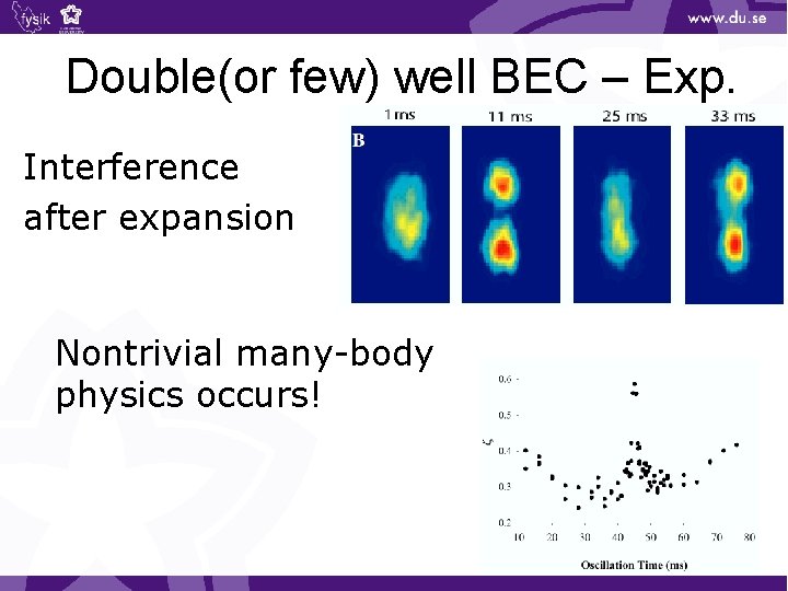 Double(or few) well BEC – Exp. Interference after expansion Nontrivial many-body physics occurs! 