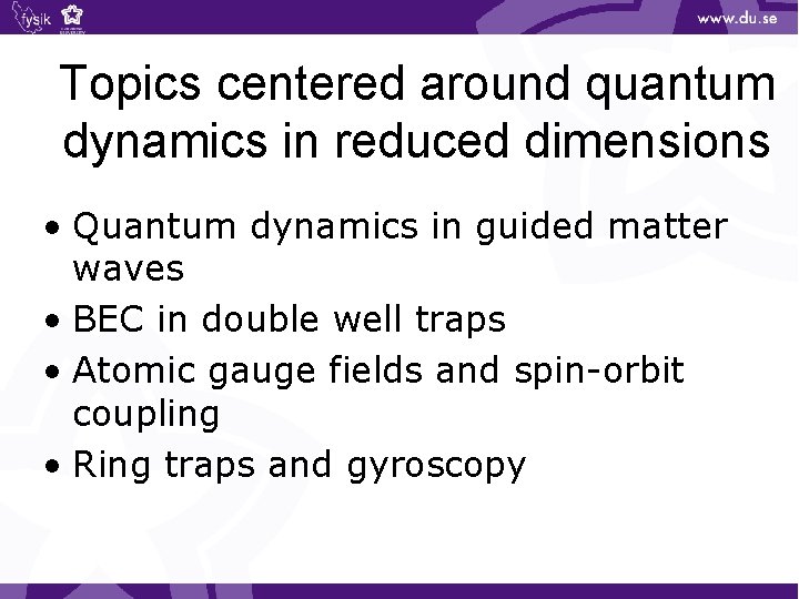 Topics centered around quantum dynamics in reduced dimensions • Quantum dynamics in guided matter