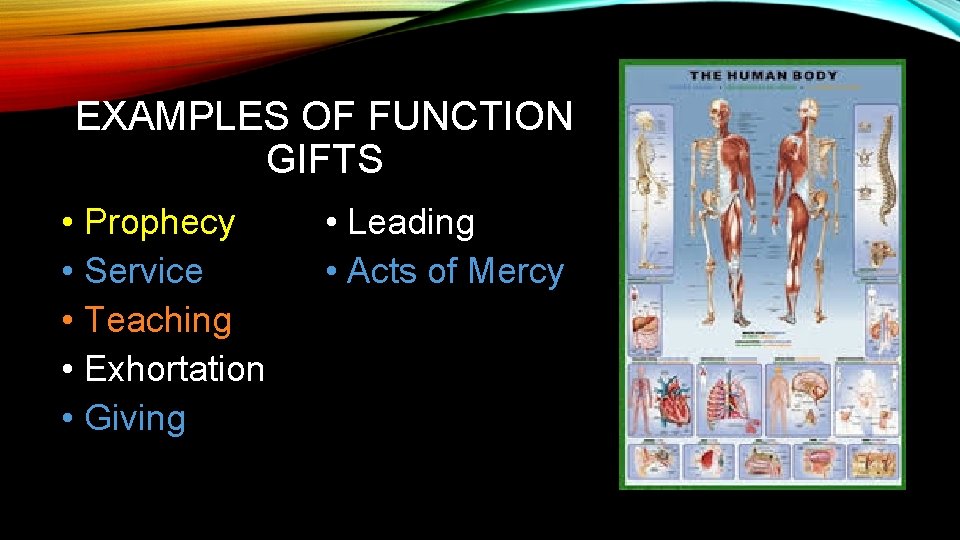 EXAMPLES OF FUNCTION GIFTS • Prophecy • Service • Teaching • Exhortation • Giving