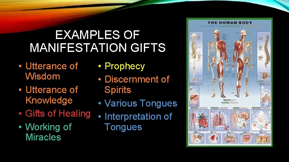 EXAMPLES OF MANIFESTATION GIFTS • Utterance of Wisdom • Utterance of Knowledge • Gifts