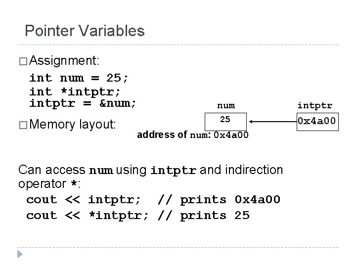 Pointer Variables � Assignment: int num = 25; int *intptr; intptr = # � Pointer Variables � Assignment: int num = 25; int *intptr; intptr = # �