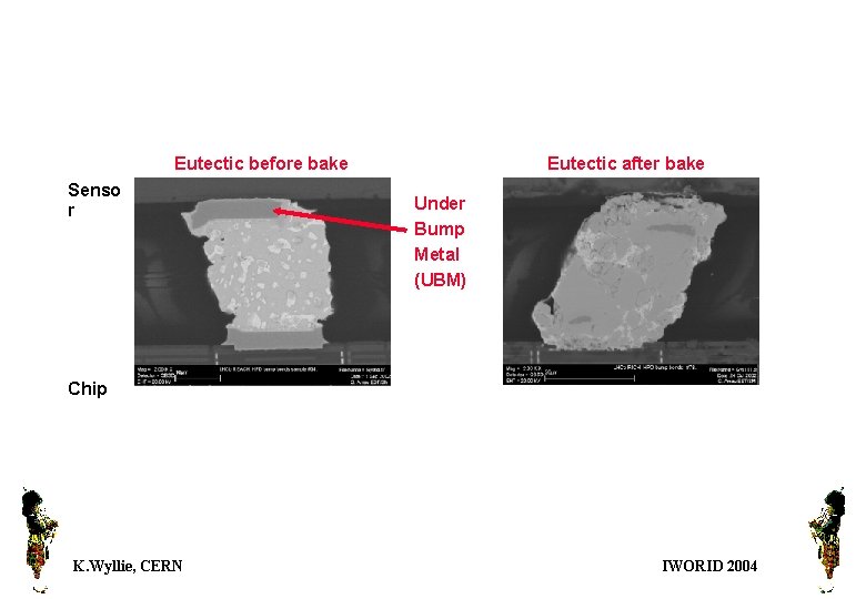 Eutectic before bake Senso r Eutectic after bake Under Bump Metal (UBM) Chip K.
