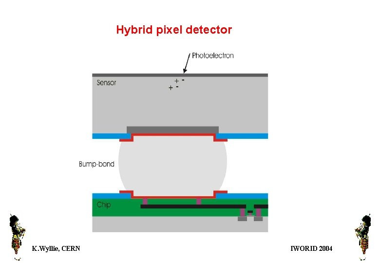 Hybrid pixel detector K. Wyllie, CERN IWORID 2004 