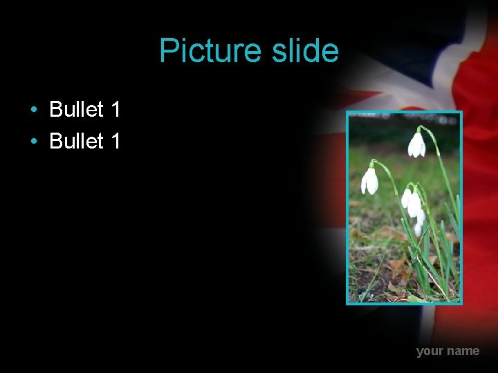 Picture slide • Bullet 1 your name 