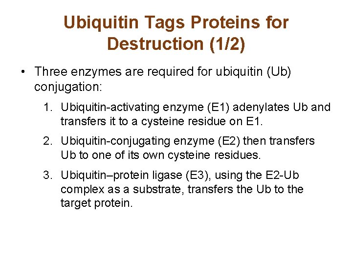 Ubiquitin Tags Proteins for Destruction (1/2) • Three enzymes are required for ubiquitin (Ub)
