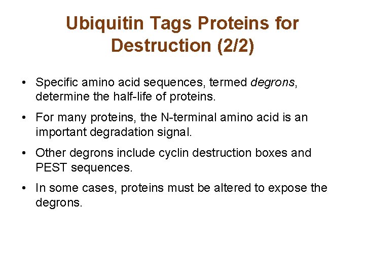 Ubiquitin Tags Proteins for Destruction (2/2) • Specific amino acid sequences, termed degrons, determine