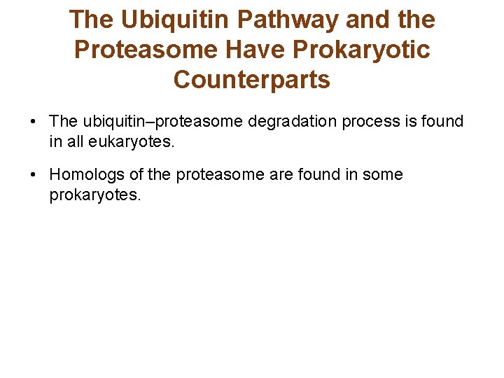 The Ubiquitin Pathway and the Proteasome Have Prokaryotic Counterparts • The ubiquitin–proteasome degradation process