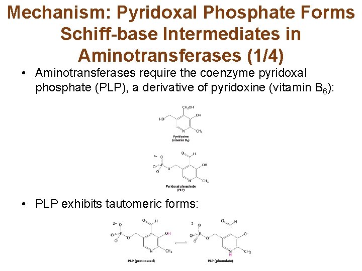 Mechanism: Pyridoxal Phosphate Forms Schiff-base Intermediates in Aminotransferases (1/4) • Aminotransferases require the coenzyme