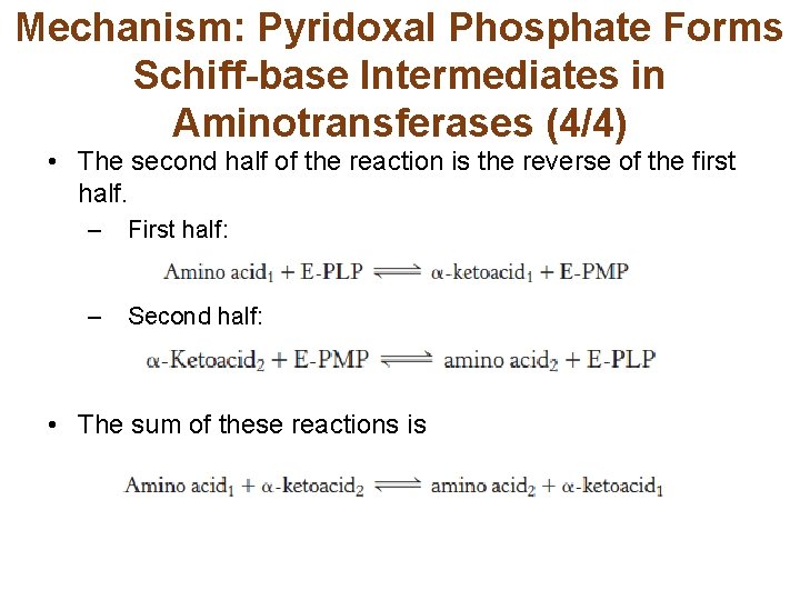 Mechanism: Pyridoxal Phosphate Forms Schiff-base Intermediates in Aminotransferases (4/4) • The second half of
