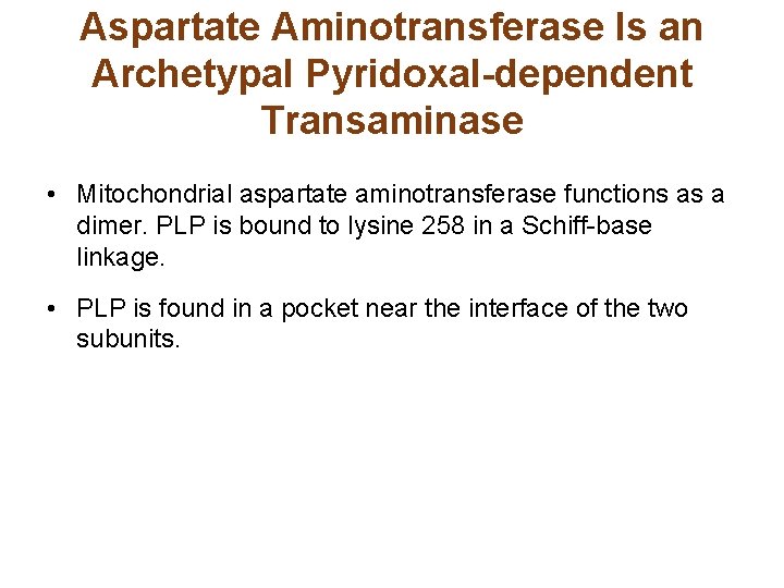 Aspartate Aminotransferase Is an Archetypal Pyridoxal-dependent Transaminase • Mitochondrial aspartate aminotransferase functions as a