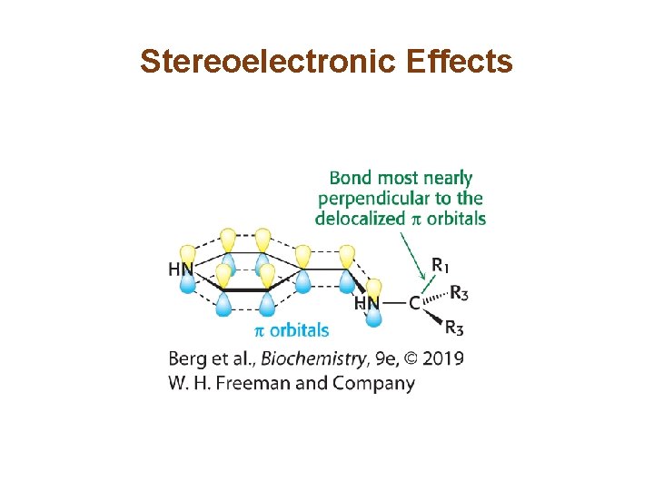 Stereoelectronic Effects 