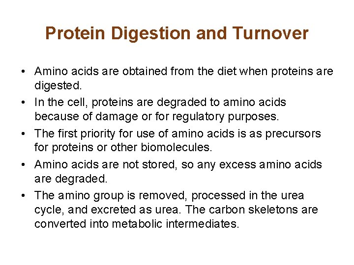 Protein Digestion and Turnover • Amino acids are obtained from the diet when proteins