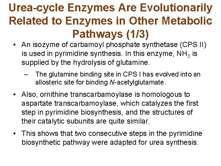 Urea-cycle Enzymes Are Evolutionarily Related to Enzymes in Other Metabolic Pathways (1/3) • An