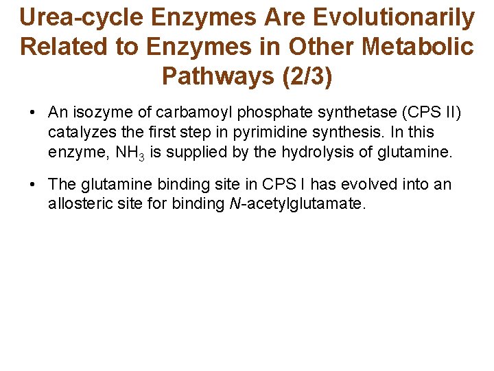 Urea-cycle Enzymes Are Evolutionarily Related to Enzymes in Other Metabolic Pathways (2/3) • An