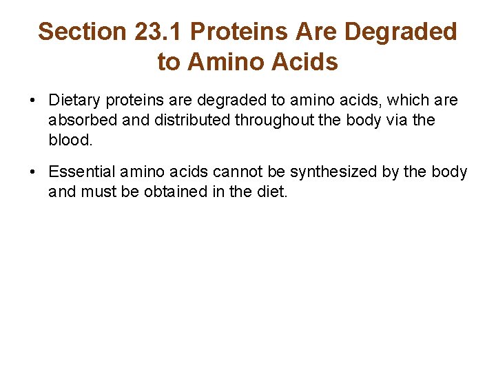 Section 23. 1 Proteins Are Degraded to Amino Acids • Dietary proteins are degraded