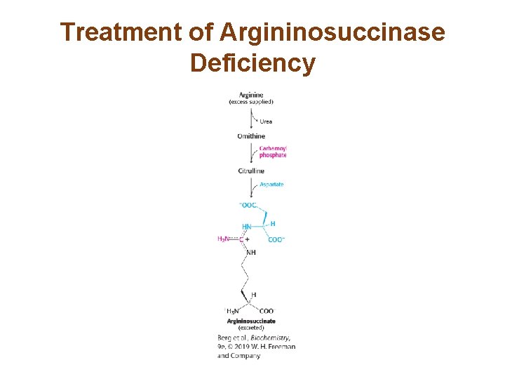 Treatment of Argininosuccinase Deficiency 