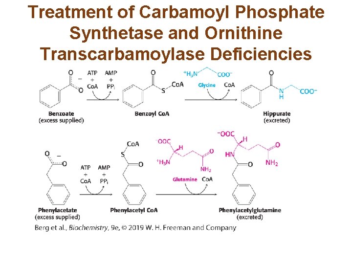 Treatment of Carbamoyl Phosphate Synthetase and Ornithine Transcarbamoylase Deficiencies 