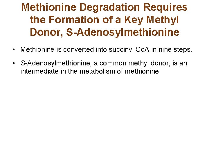 Methionine Degradation Requires the Formation of a Key Methyl Donor, S-Adenosylmethionine • Methionine is