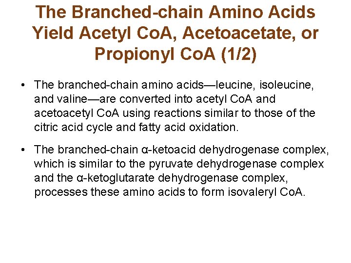 The Branched-chain Amino Acids Yield Acetyl Co. A, Acetoacetate, or Propionyl Co. A (1/2)