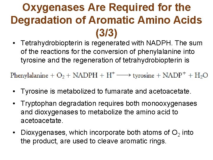 Oxygenases Are Required for the Degradation of Aromatic Amino Acids (3/3) • Tetrahydrobiopterin is