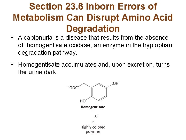 Section 23. 6 Inborn Errors of Metabolism Can Disrupt Amino Acid Degradation • Alcaptonuria