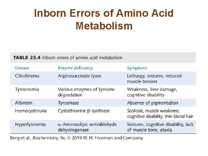 Inborn Errors of Amino Acid Metabolism 