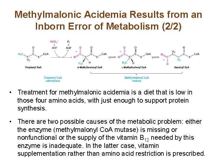 Methylmalonic Acidemia Results from an Inborn Error of Metabolism (2/2) • Treatment for methylmalonic