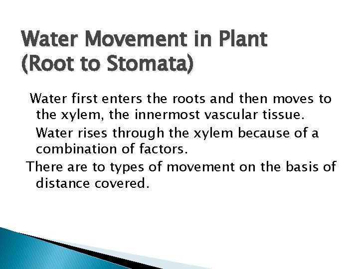 Water Movement in Plant (Root to Stomata) Water first enters the roots and then