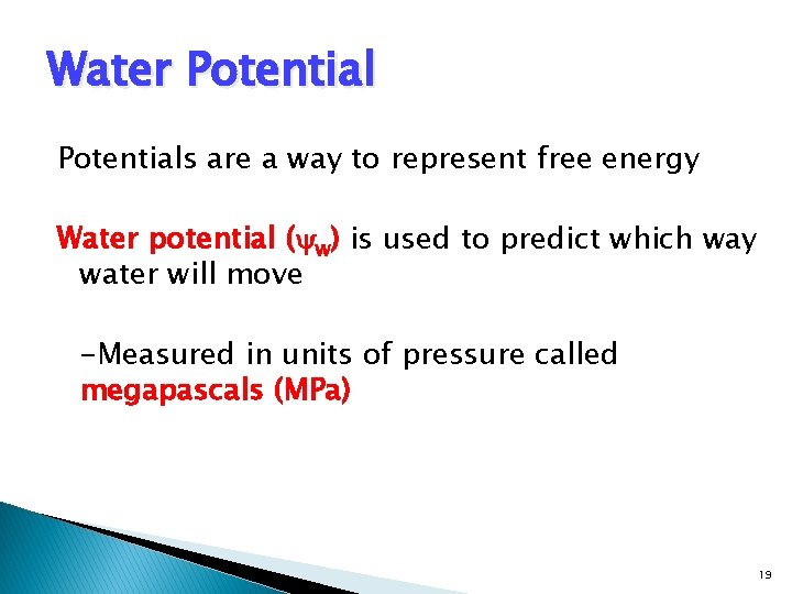 Water Potentials are a way to represent free energy Water potential ( w) is