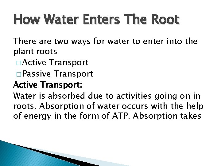 How Water Enters The Root There are two ways for water to enter into