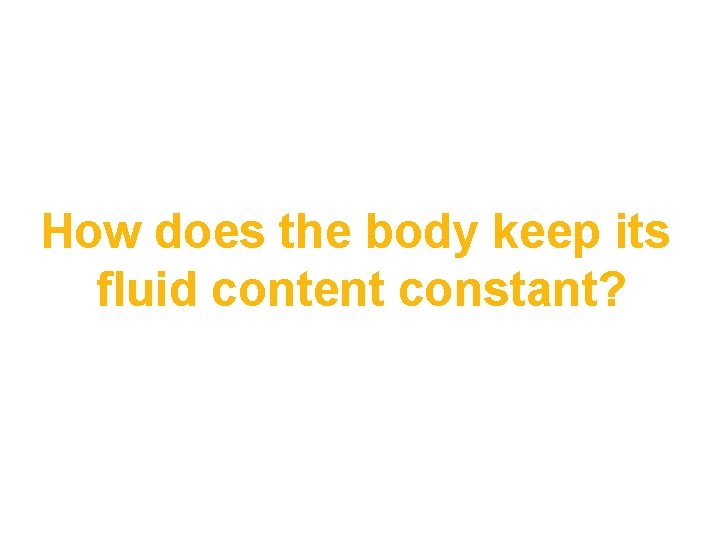 How does the body keep its fluid content constant? 