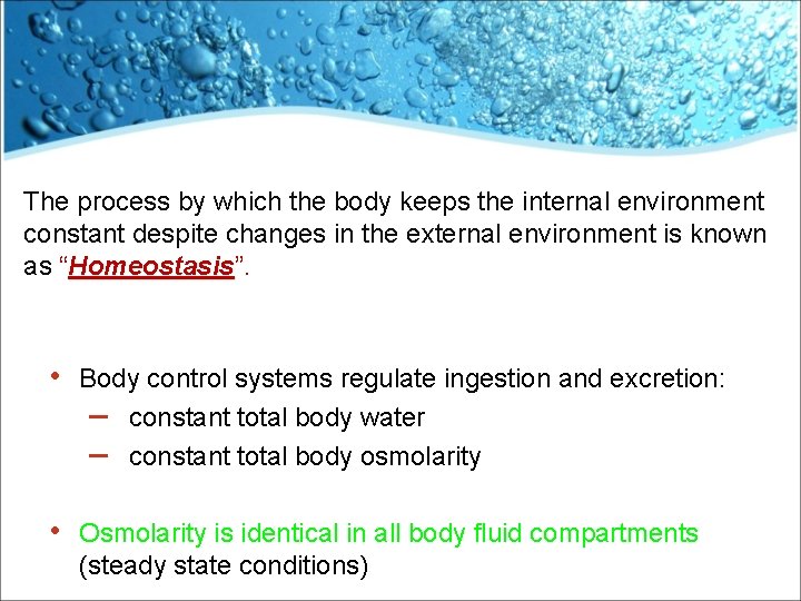 The process by which the body keeps the internal environment constant despite changes in