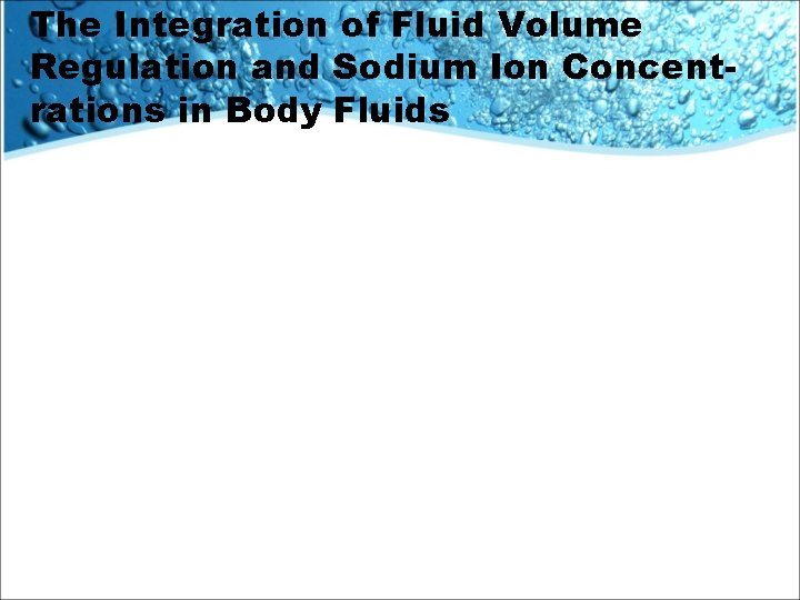 The Integration of Fluid Volume Regulation and Sodium Ion Concentrations in Body Fluids 