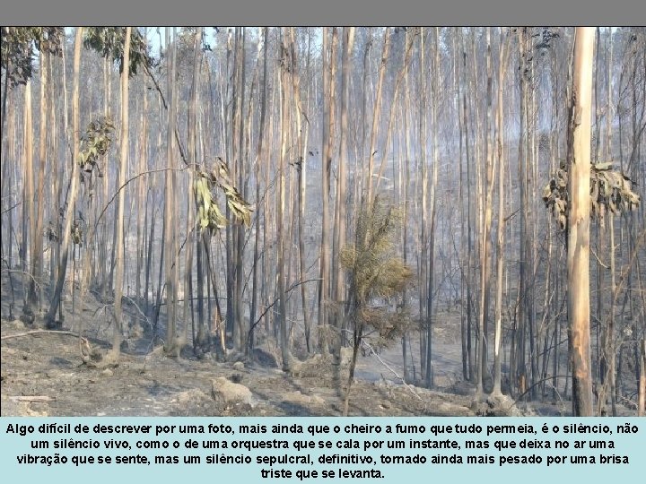 Algo difícil de descrever por uma foto, mais ainda que o cheiro a fumo