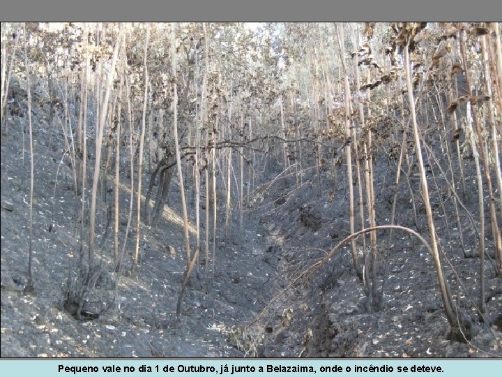 Pequeno vale no dia 1 de Outubro, já junto a Belazaima, onde o incêndio