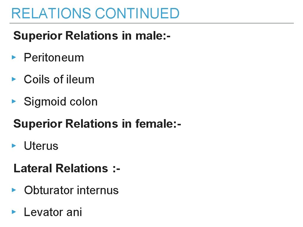 RELATIONS CONTINUED Superior Relations in male: ▸ Peritoneum ▸ Coils of ileum ▸ Sigmoid RELATIONS CONTINUED Superior Relations in male: ▸ Peritoneum ▸ Coils of ileum ▸ Sigmoid