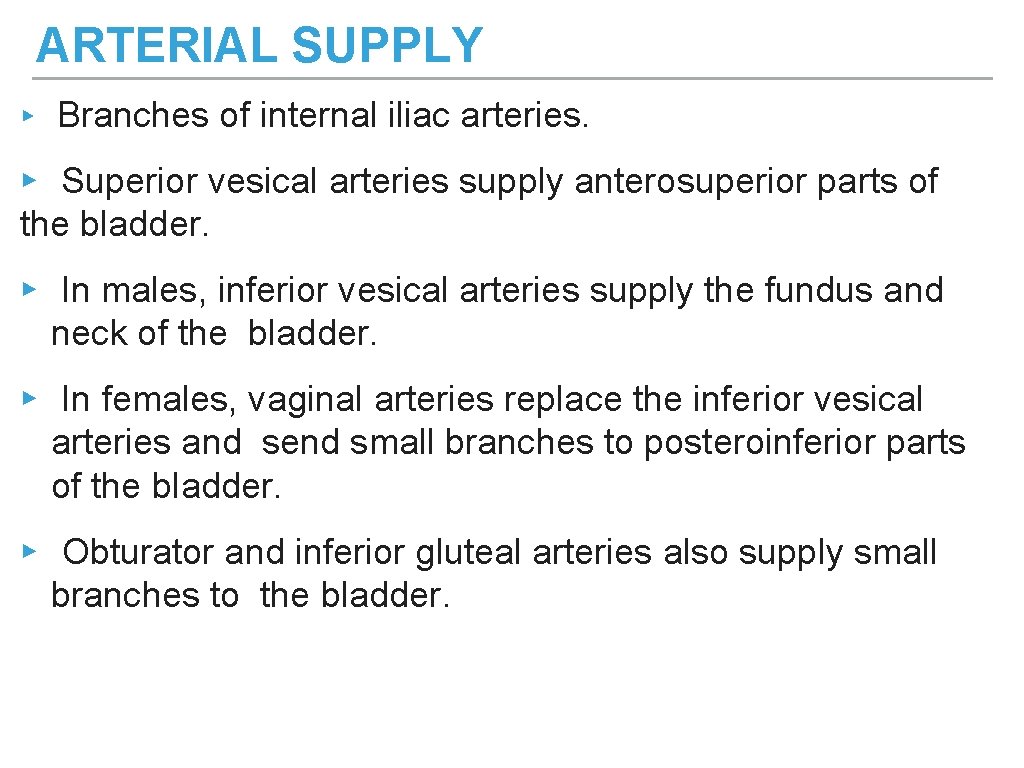 ARTERIAL SUPPLY ▸ Branches of internal iliac arteries. ▸ Superior vesical arteries supply anterosuperior