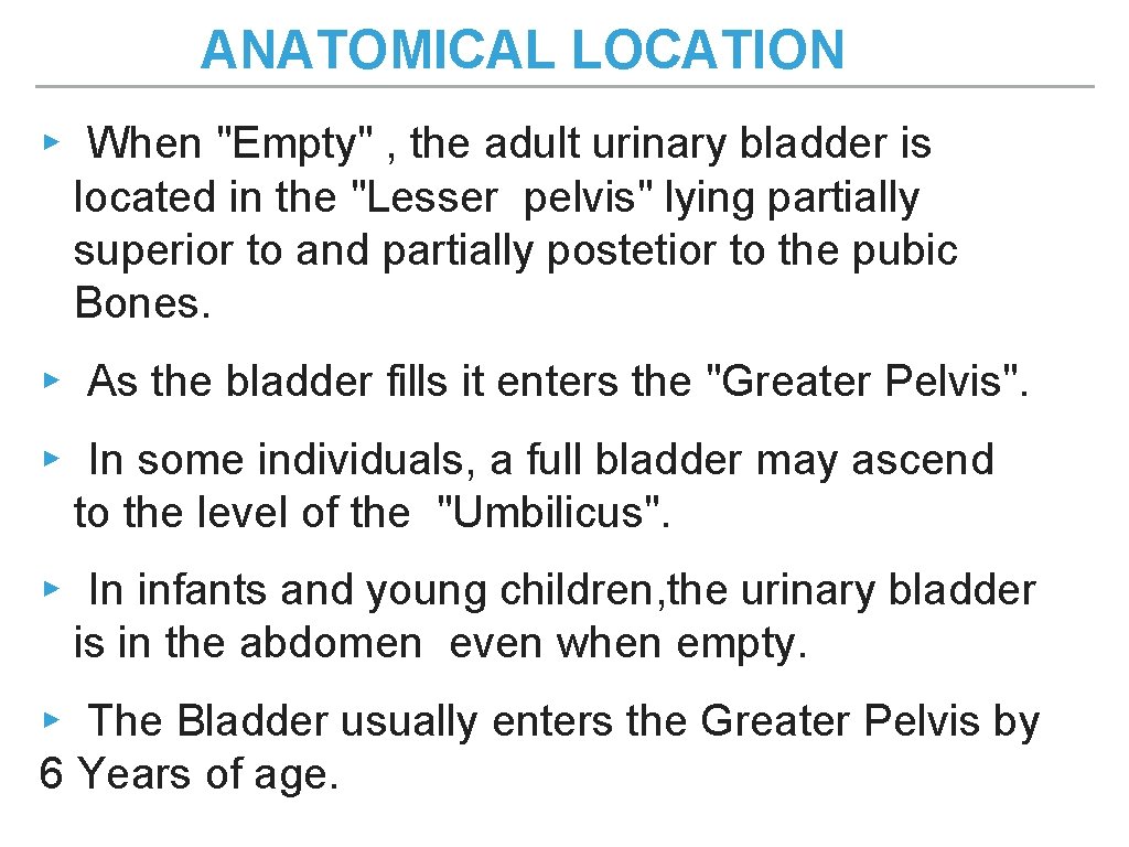 ANATOMICAL LOCATION ▸ When "Empty" , the adult urinary bladder is located in the ANATOMICAL LOCATION ▸ When "Empty" , the adult urinary bladder is located in the