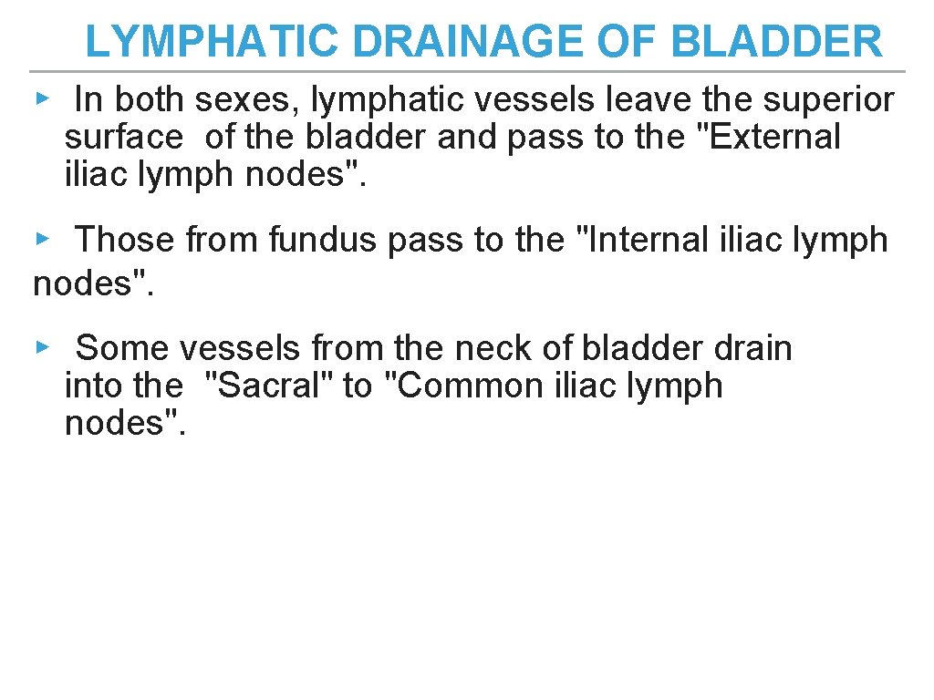 LYMPHATIC DRAINAGE OF BLADDER ▸ In both sexes, lymphatic vessels leave the superior surface LYMPHATIC DRAINAGE OF BLADDER ▸ In both sexes, lymphatic vessels leave the superior surface