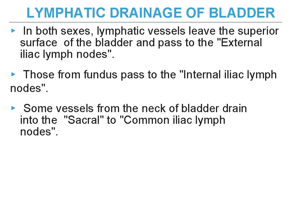 LYMPHATIC DRAINAGE OF BLADDER ▸ In both sexes, lymphatic vessels leave the superior surface