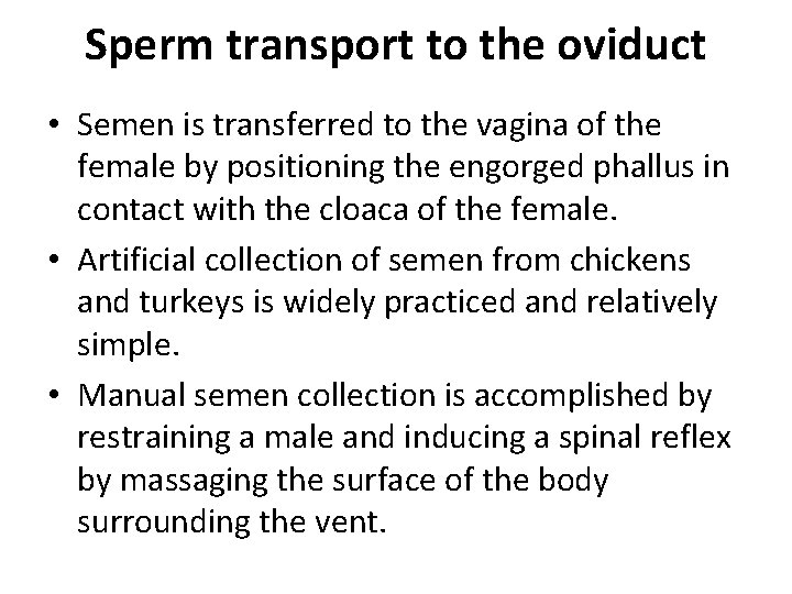 Sperm transport to the oviduct • Semen is transferred to the vagina of the