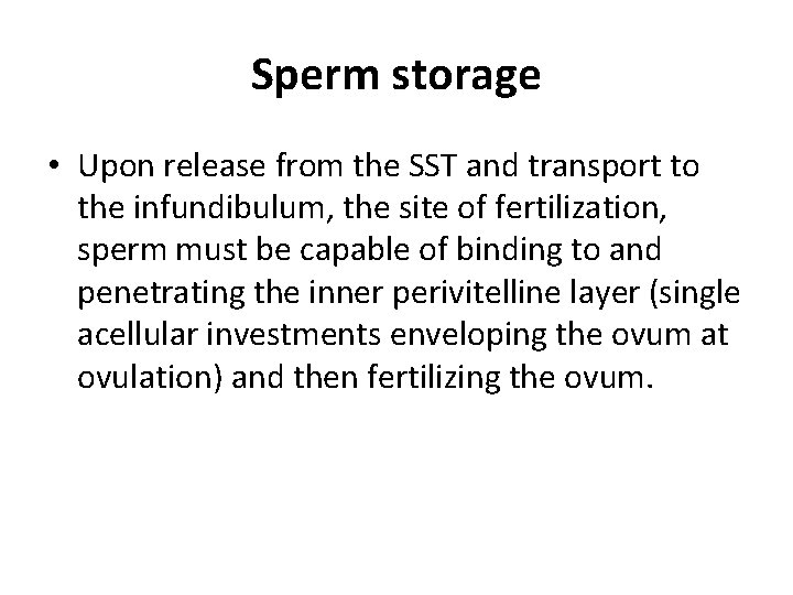 Sperm storage • Upon release from the SST and transport to the infundibulum, the