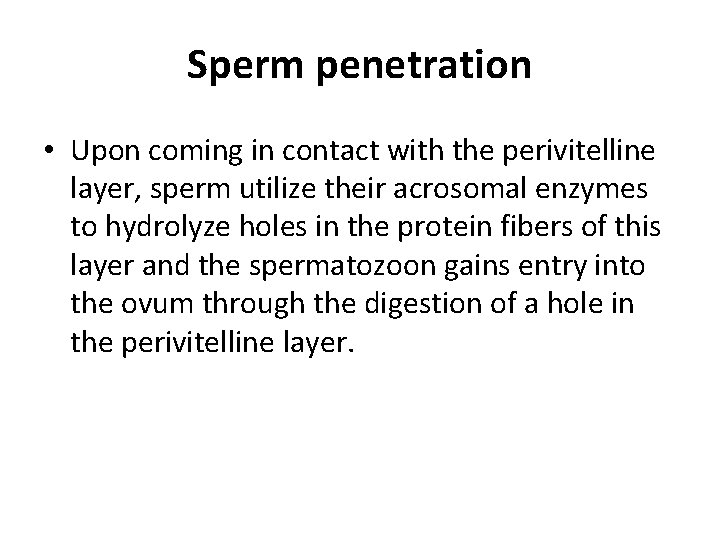 Sperm penetration • Upon coming in contact with the perivitelline layer, sperm utilize their