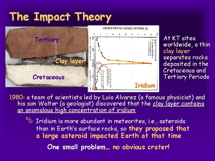 The Impact Theory At KT sites worldwide, a thin clay layer separates rocks deposited