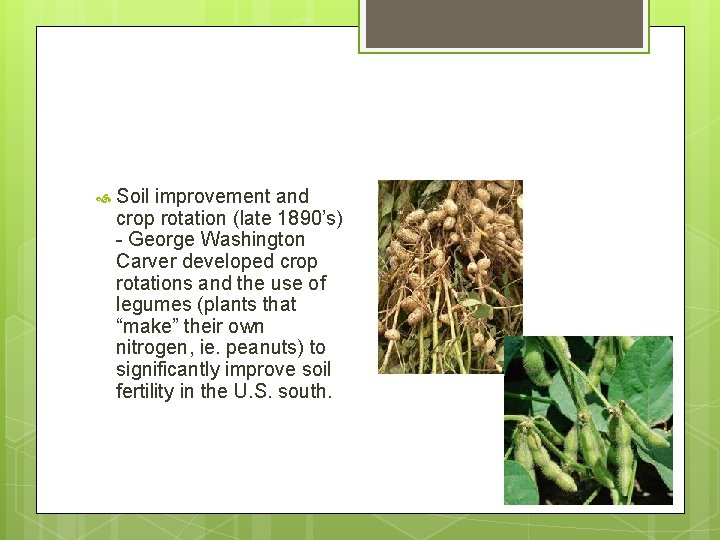  Soil improvement and crop rotation (late 1890’s) - George Washington Carver developed crop