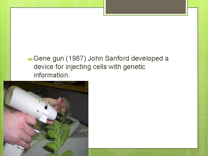  Gene gun (1987) John Sanford developed a device for injecting cells with genetic